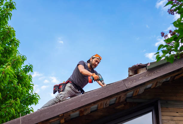 Best Roof Leak Repair  in Edgewood, MD
