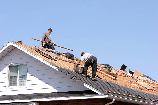 Best Asphalt Shingle Roofing  in Edgewood, MD
